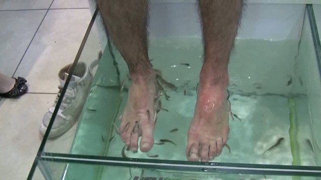 Dave And Chris Fish Pedicure HD