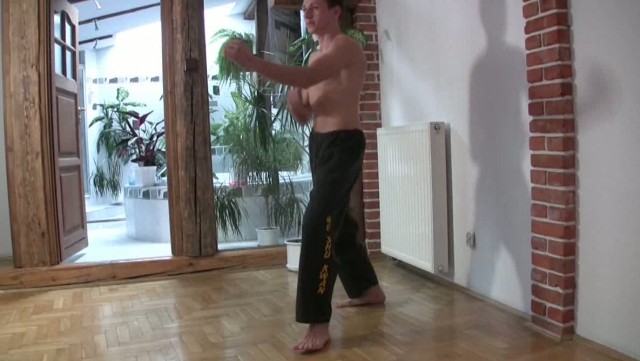 Tommy Doing Some Karate Warmups HD
